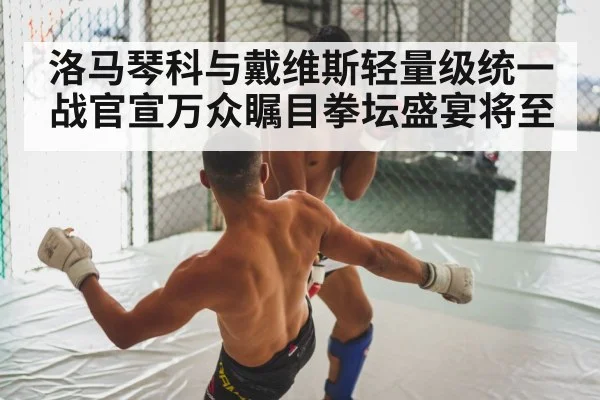 洛马琴科与戴维斯轻量级统一战官宣万众瞩目拳坛盛宴将至